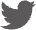 twitter icon